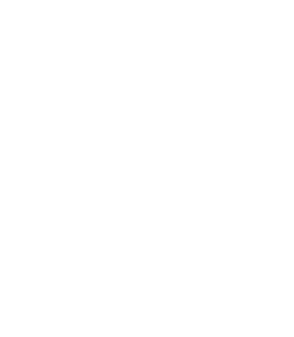 Wasitum Logo Wasitum